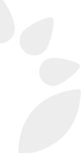 logoFinal.png