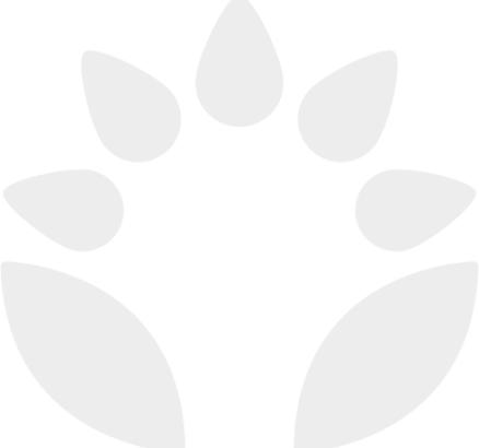 Logo Patch