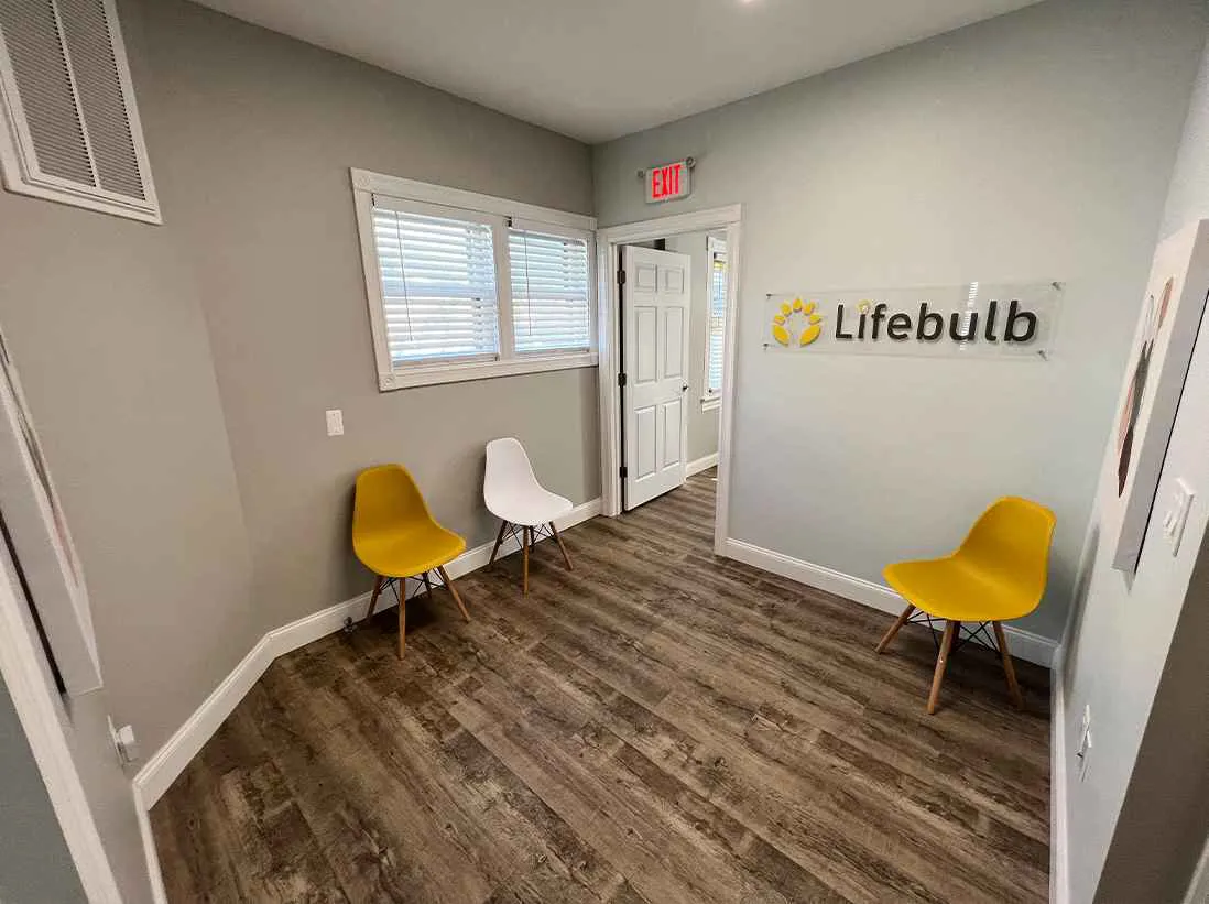 Lifebulb counseling center toms-river