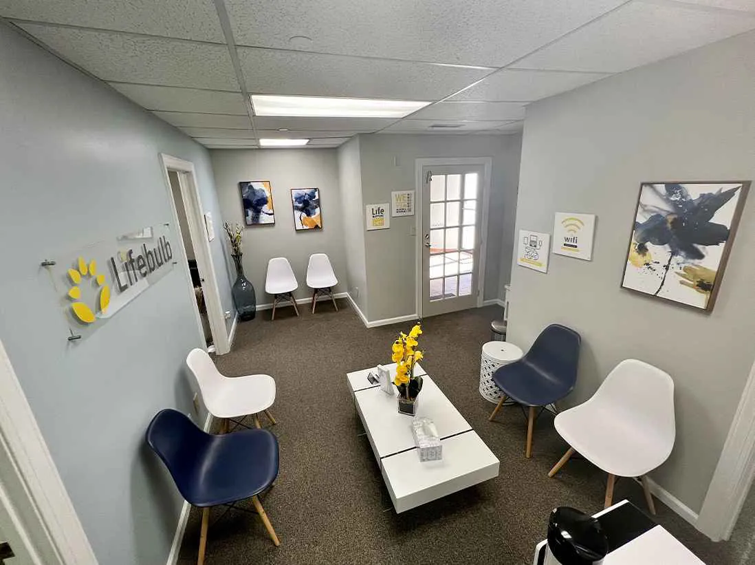 Lifebulb counseling center charlottesville-counseling