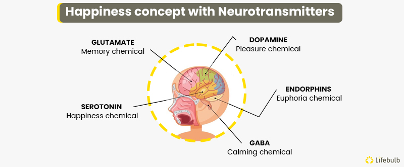 HAPPINESS-CONCEPT-with-Neurotransmitters