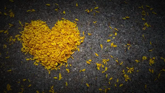 complicated grief