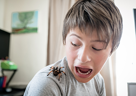 Phobias